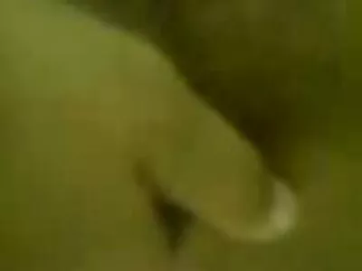 Gata asiática adora filme pornô um homem e duas mulheres chupar e bater