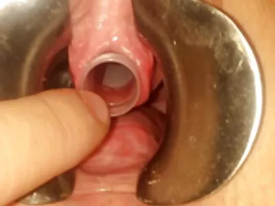 Cara vídeo de pornô mulher brasileira gordo e uma loira gostosa
