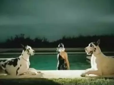 MILF chupando filme pornô com cachorro e mulher uma ferramenta gorda